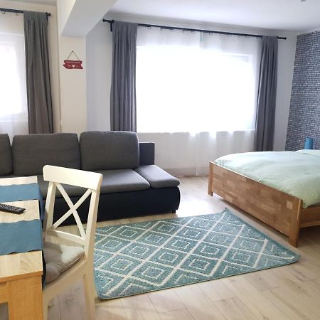 Dream Apartment Petrosani Bagian luar foto