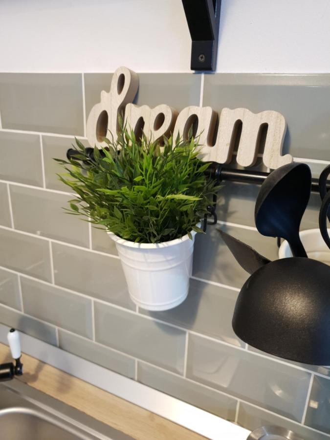 Dream Apartment Petrosani Bagian luar foto